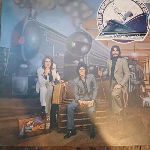 Coming Down Your Way by Three Dog Night on vinyl