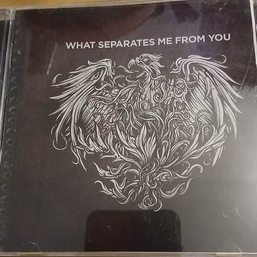 What Separates Me From You by A Day To Remember on cd