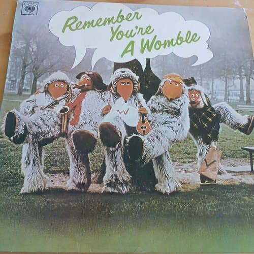 Remember You're A Womble by The Wombles on vinyl